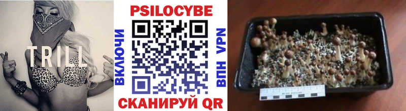 Галлюциногенные грибы Psilocybe  что такое   Миасс 